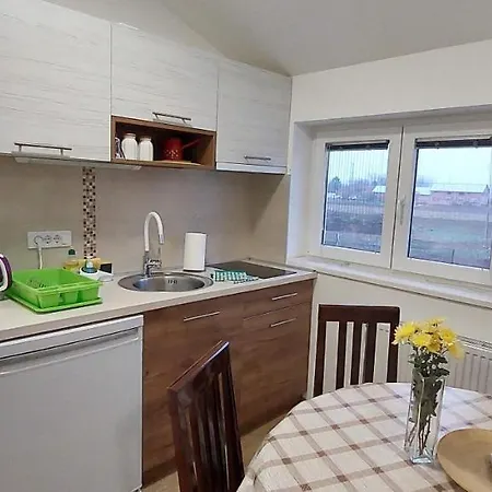 Ana Apartment Dobanovci