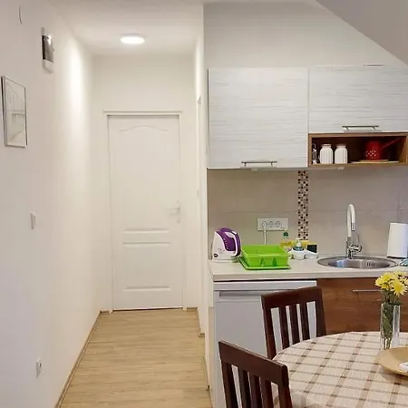 Apartment Ana Dobanovci