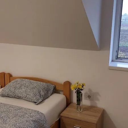 Ana Apartment Dobanovci