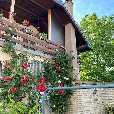 Ana Apartament *