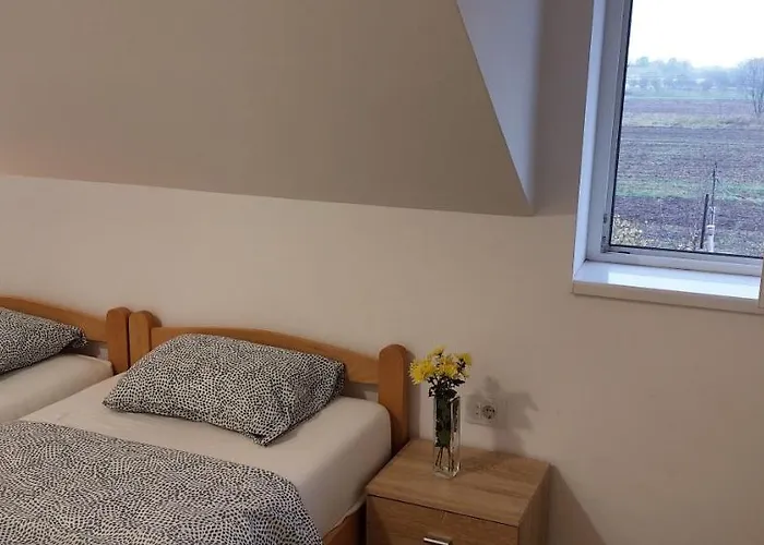 Ana Apartamento Dobanovci